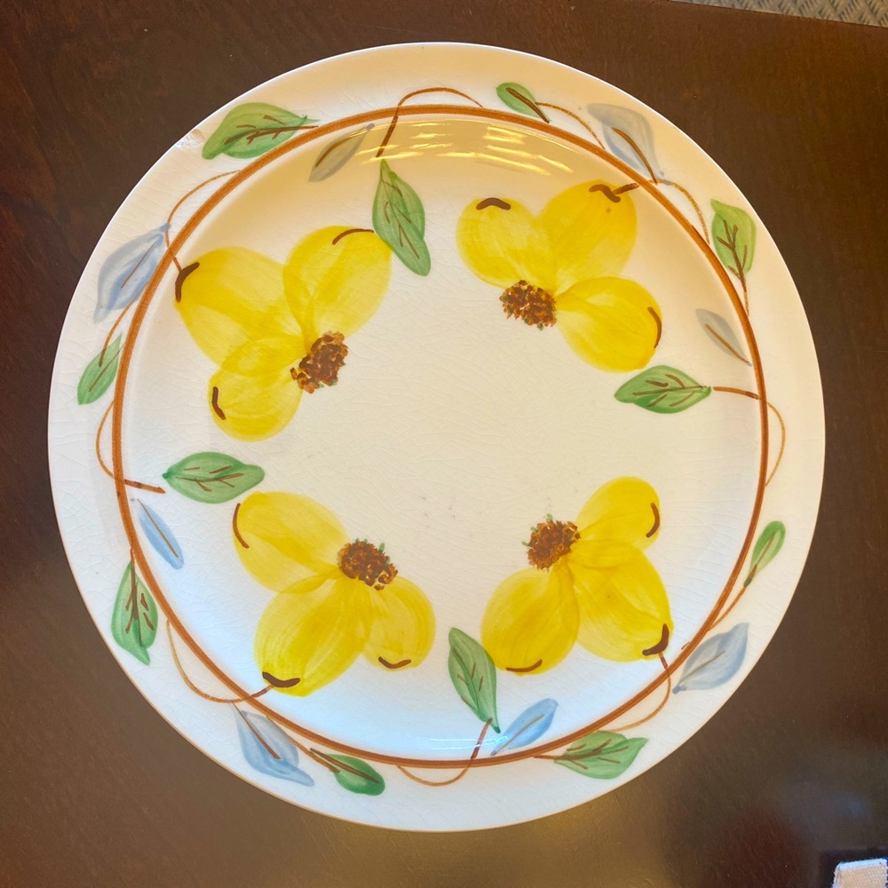Vintage Blue Ridge Southern Potteries Dinner Plate